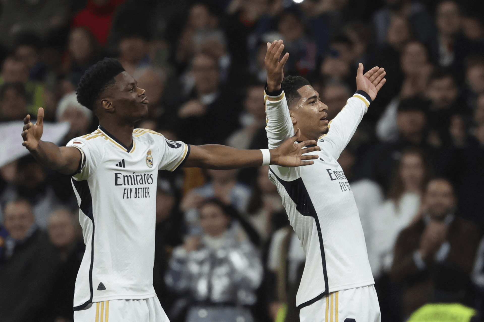 中国九游体育-重磅！纽卡斯尔今夜完成体检拜仁慕尼黑今晨止住颓势，纽卡斯尔遗憾出局备战欧超杯